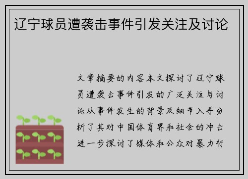 辽宁球员遭袭击事件引发关注及讨论