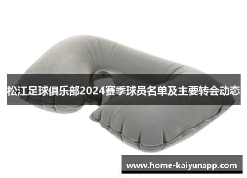 松江足球俱乐部2024赛季球员名单及主要转会动态