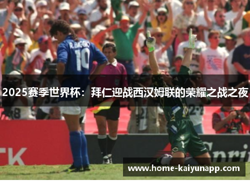 2025赛季世界杯：拜仁迎战西汉姆联的荣耀之战之夜